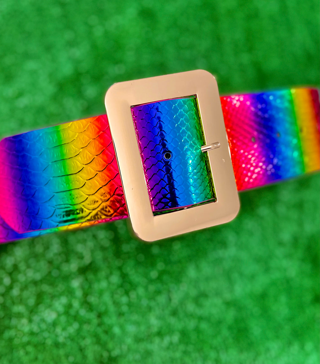 Rainbow Snake Belt